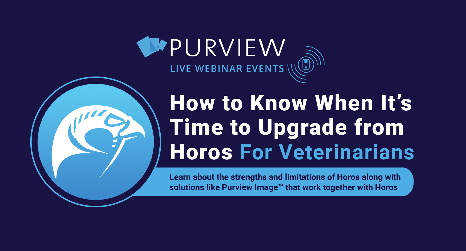 2024-09 Vet Webinar banner